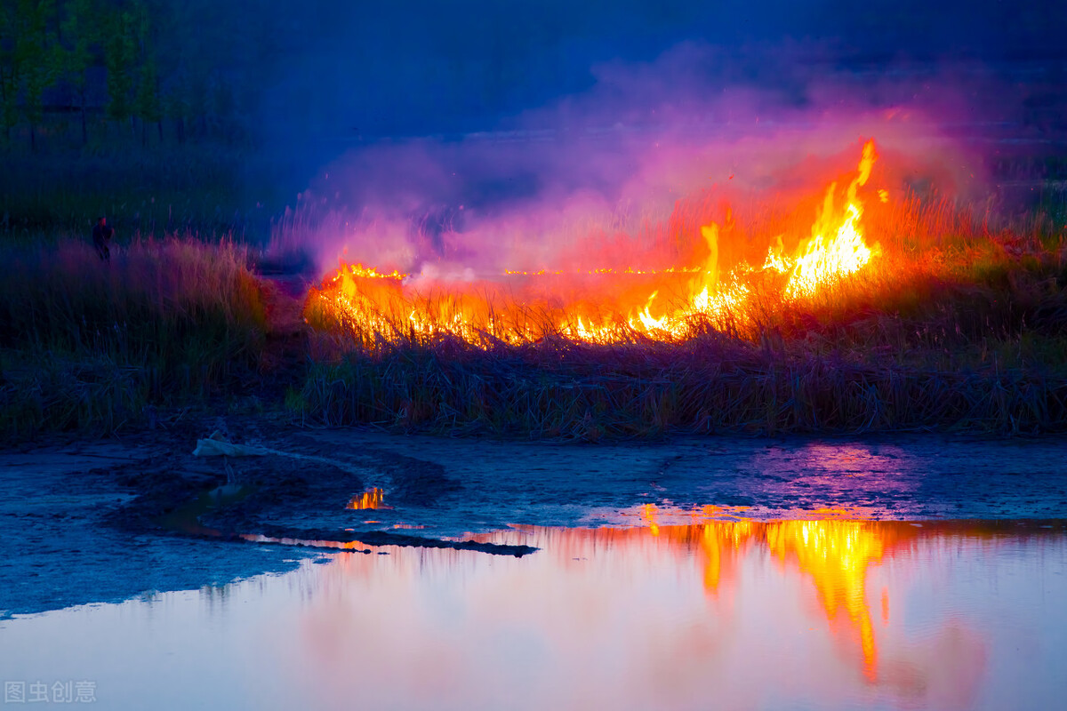 爱情所及，烈焰腾腾，时过境迁，纯纯如水