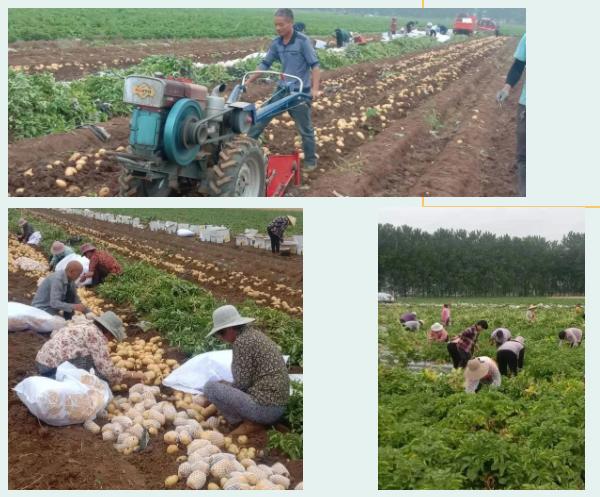 说说我的家乡400字,说说我的家乡作文450字