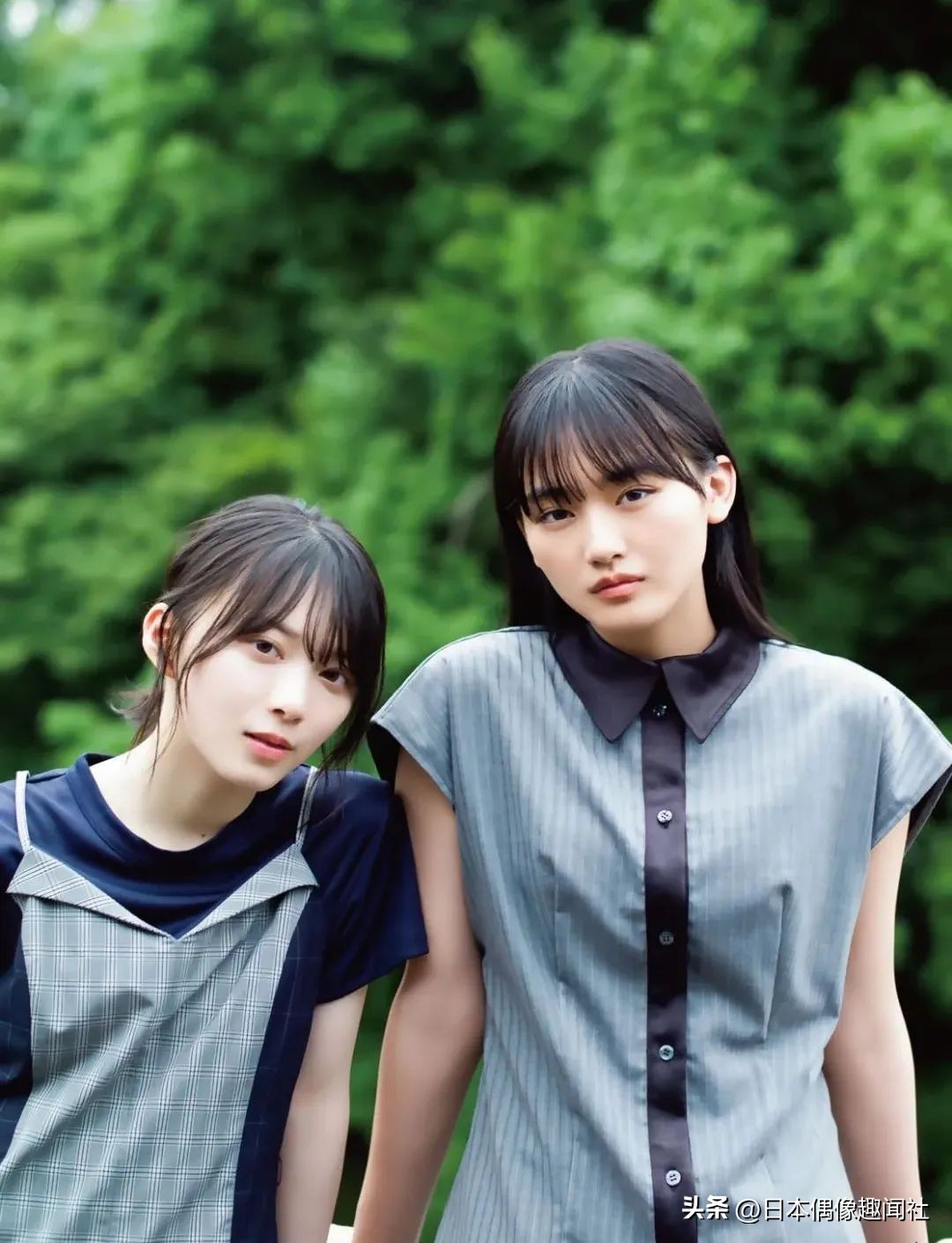 樱坂46综艺,平手友梨奈为什么退出组合