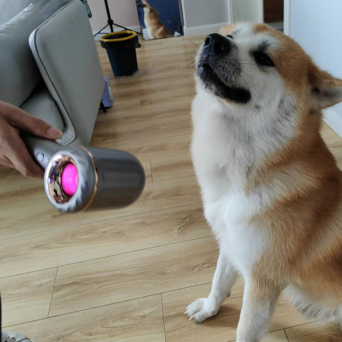 橙飒卡吹风机 (osak橙飒卡吹风机开箱)