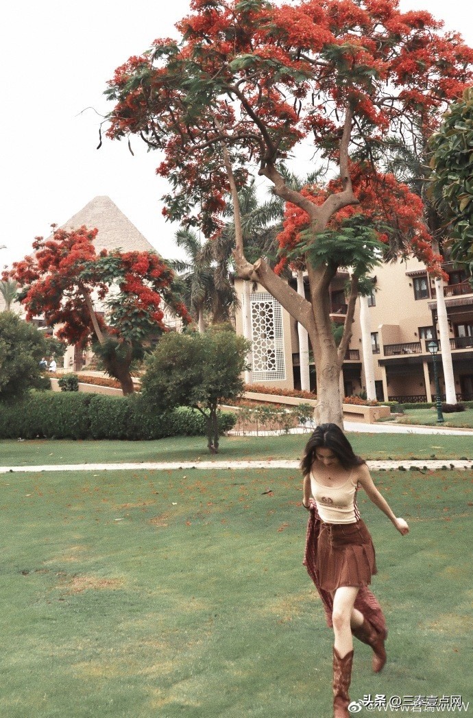 cba最美妻子,cba最美太太张常宁