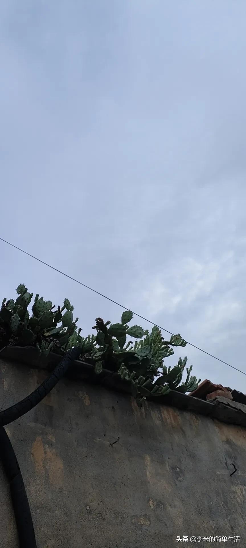 给*钱假**的那个女的走了！一个人用*钱假**去买东西是有意还是无意？