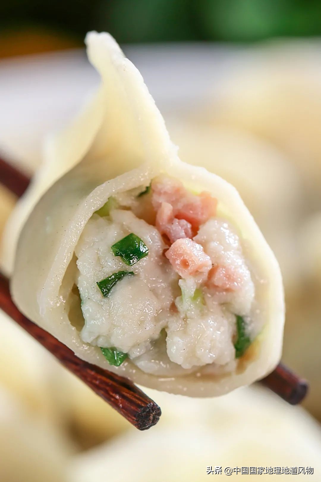 辽宁哪个地方的海鲜最好,辽宁各市都有啥海鲜