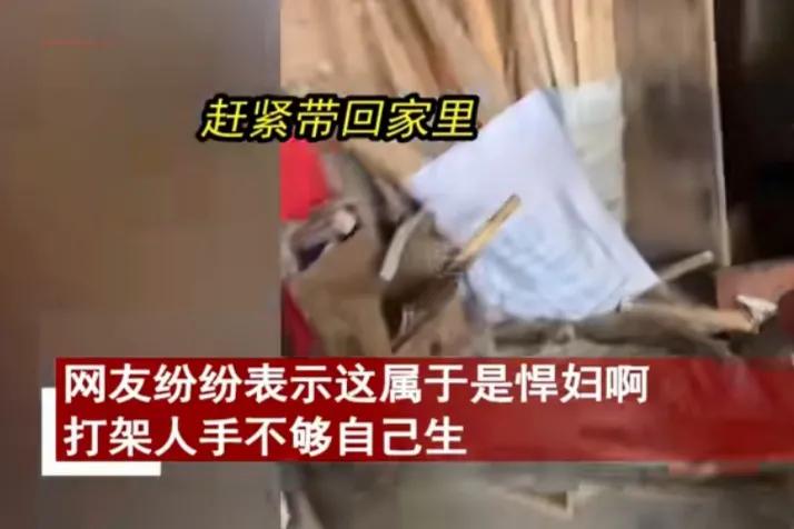 狗妈妈带小狗打架,狗妈妈打狗宝宝