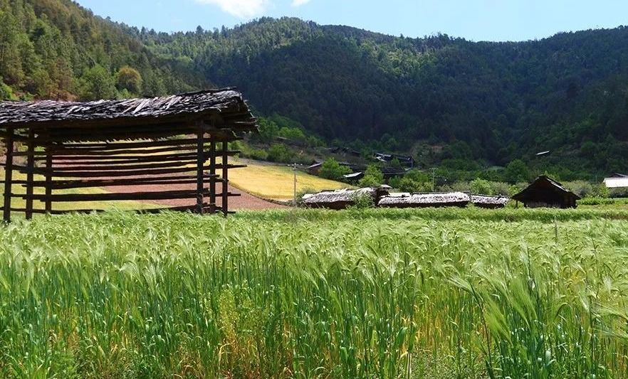 【过大年游大理】和许红豆一起，来一场治愈的“有风之旅”