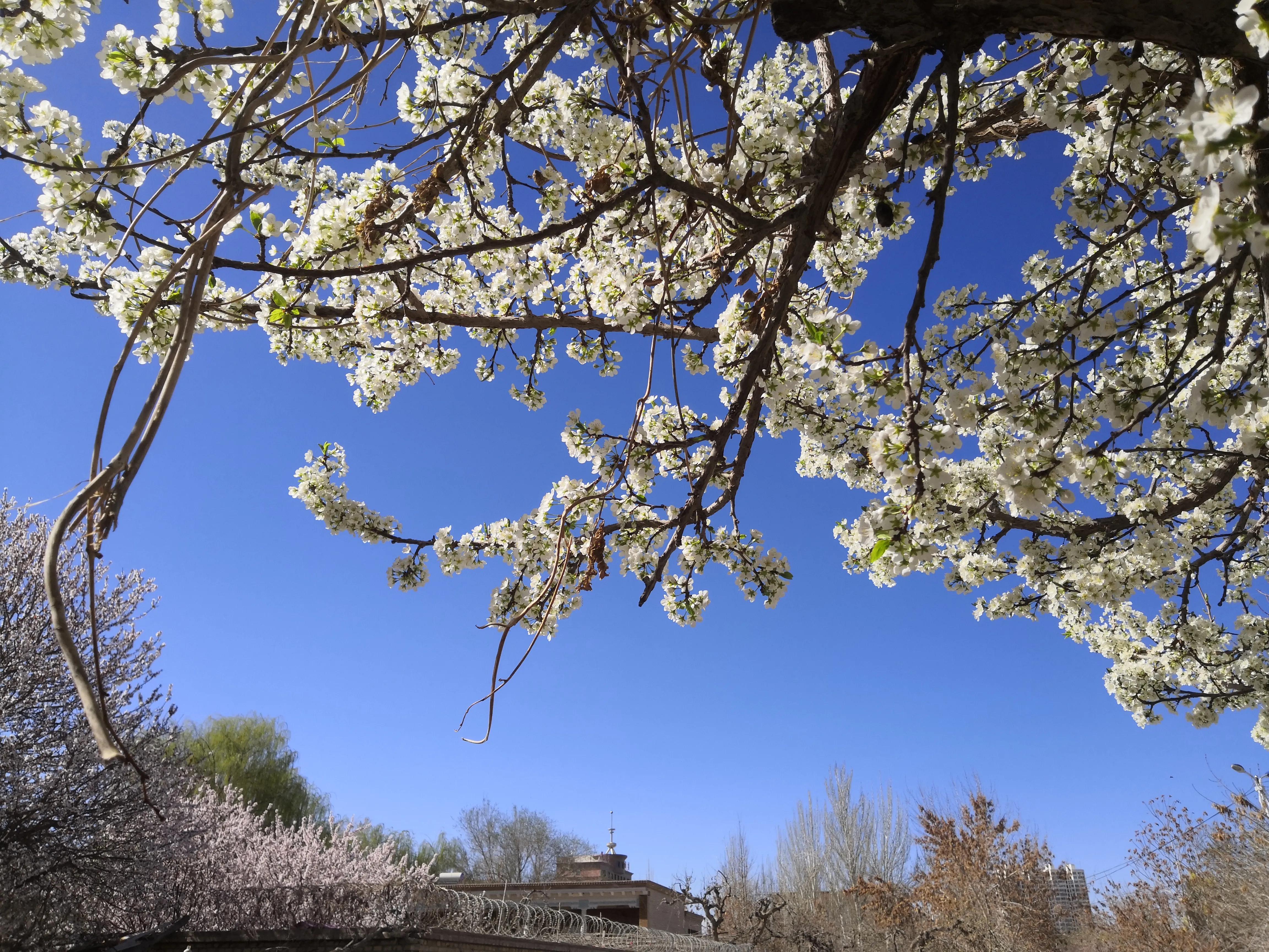 万马股份目前情况,万马股份趋势