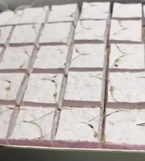 蛋糕有霉点,男子餐厅吃蛋糕发现有霉点