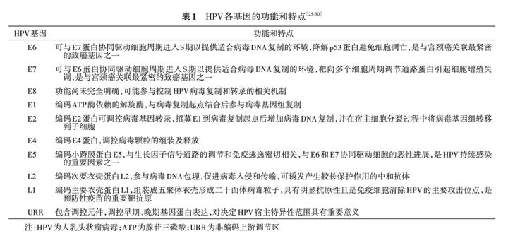 宫颈癌筛查人乳头瘤病毒阴性,人乳头瘤病毒就是宫颈癌筛查吗
