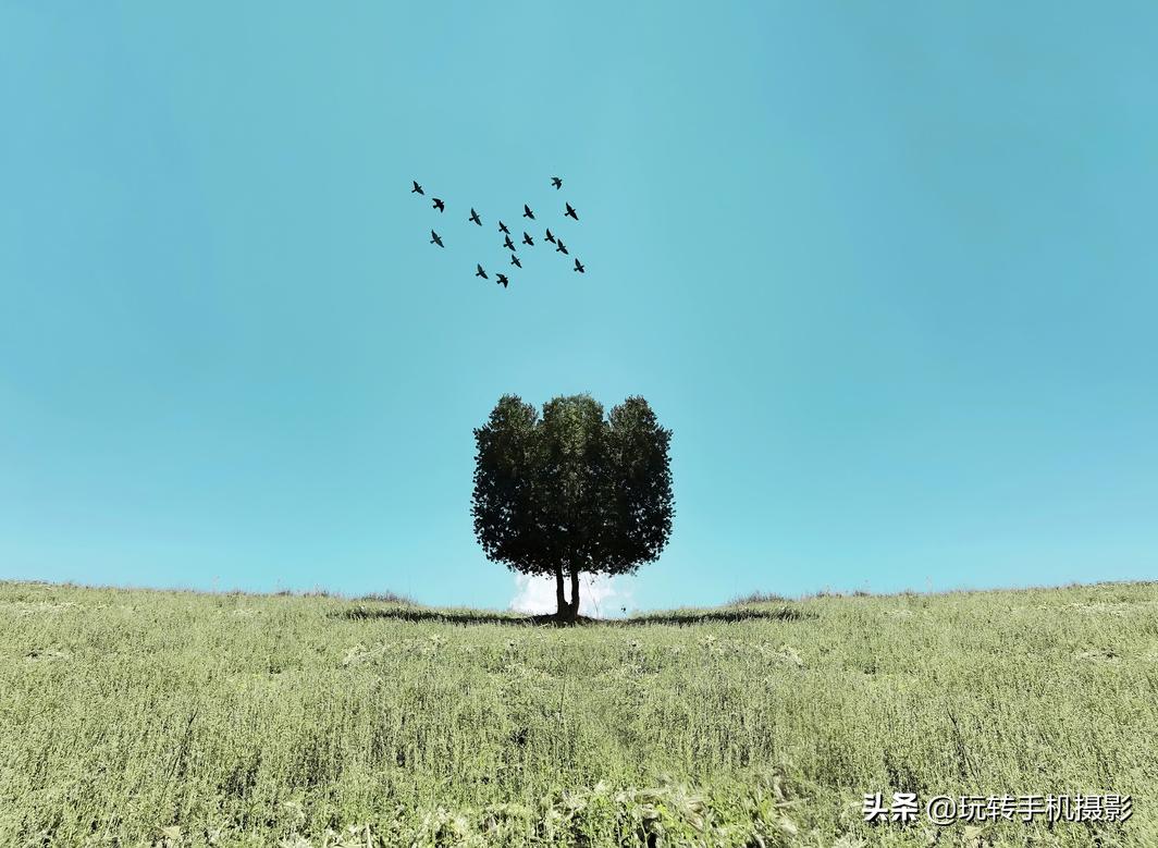 五月给你点“颜色”瞧瞧！照片想出圈，这样拍就对了