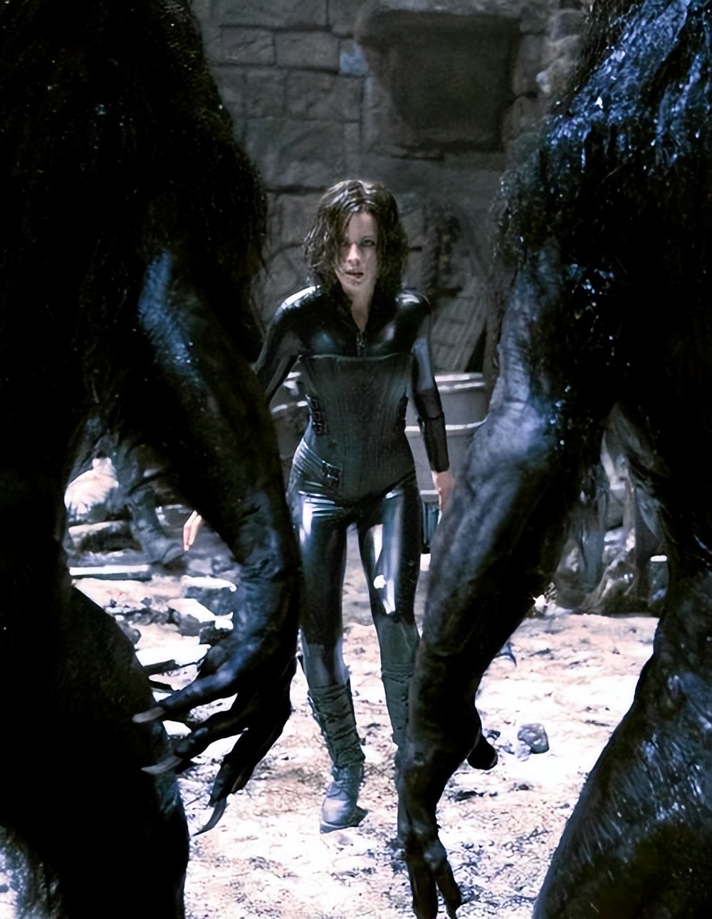 伦怀斯曼导演,伦怀斯曼影视作品