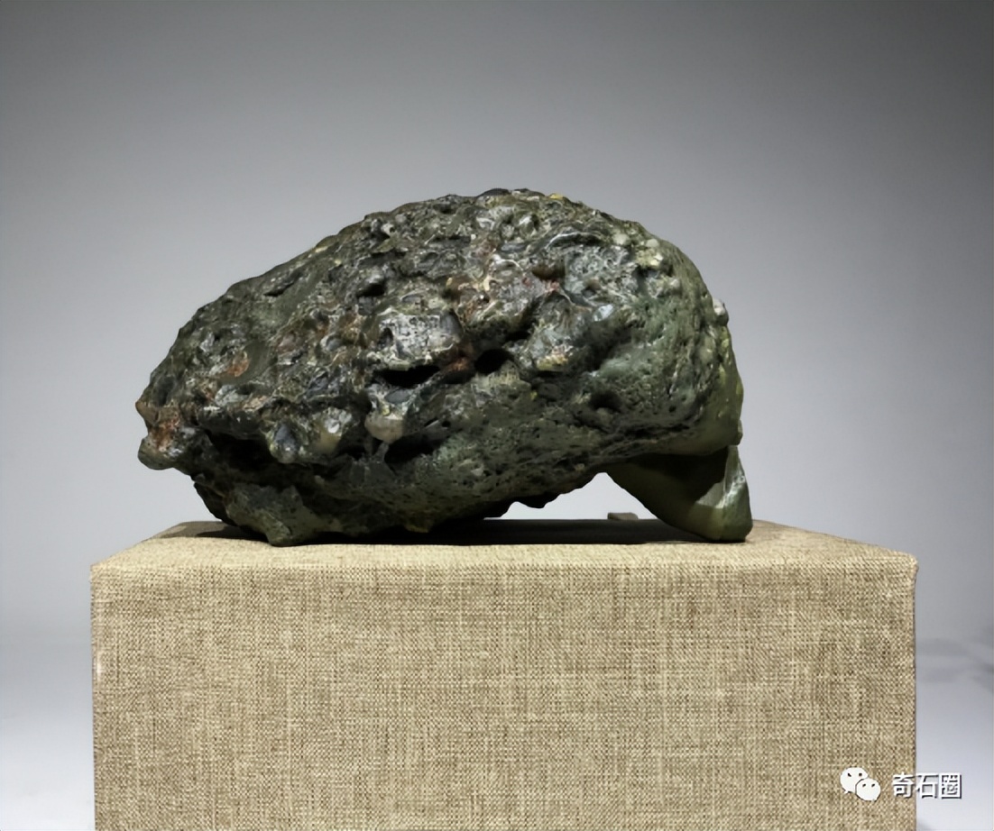 龟形奇石图片大全,获奖奇石龟图片大全