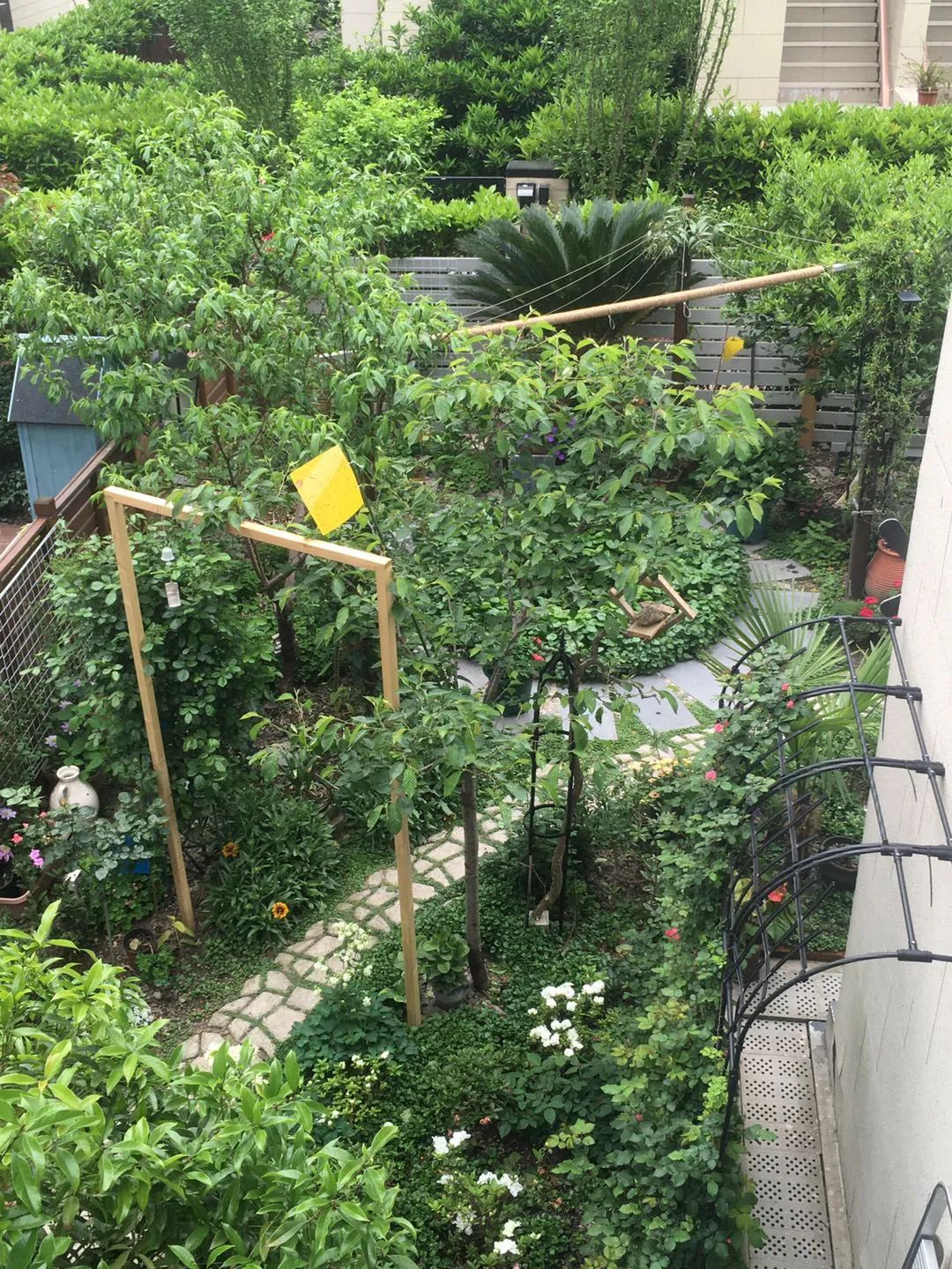 如何打造自己的小院,打造小院最省钱