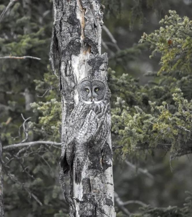 涓栫晫鍗佸ぇ瓒呮ā韬潗鍥剧墖鍥炬枃,涓栫晫鍗佸ぇ瓒呮ā鎯婅壋鍐欑湡