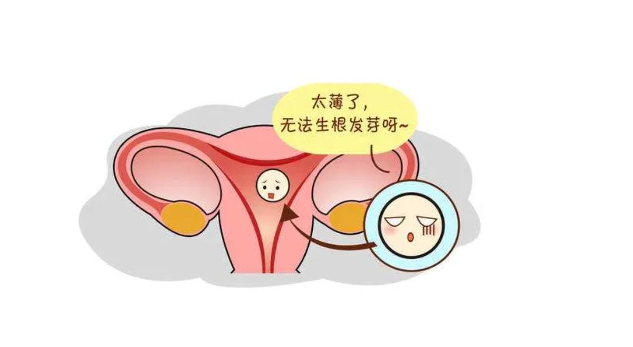 子宫内膜薄要调理才能备孕吗,子宫内膜薄怀孕了需要注意什么