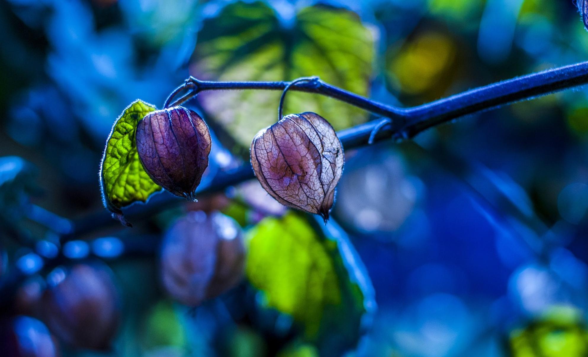 家长牢记5个元音字母意义重大：小学900基础词词源解析第三十一课