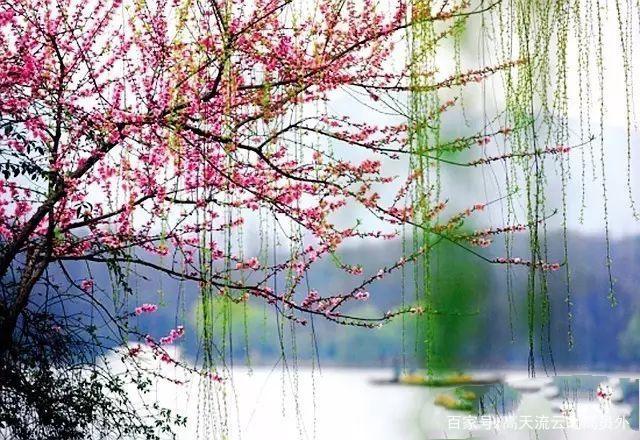 描写春风的诗句大全,关于春天春风的诗句古诗词