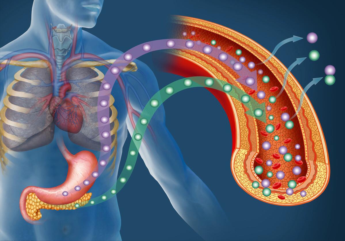 最新降糖的特效中药是,最新中药降糖药物