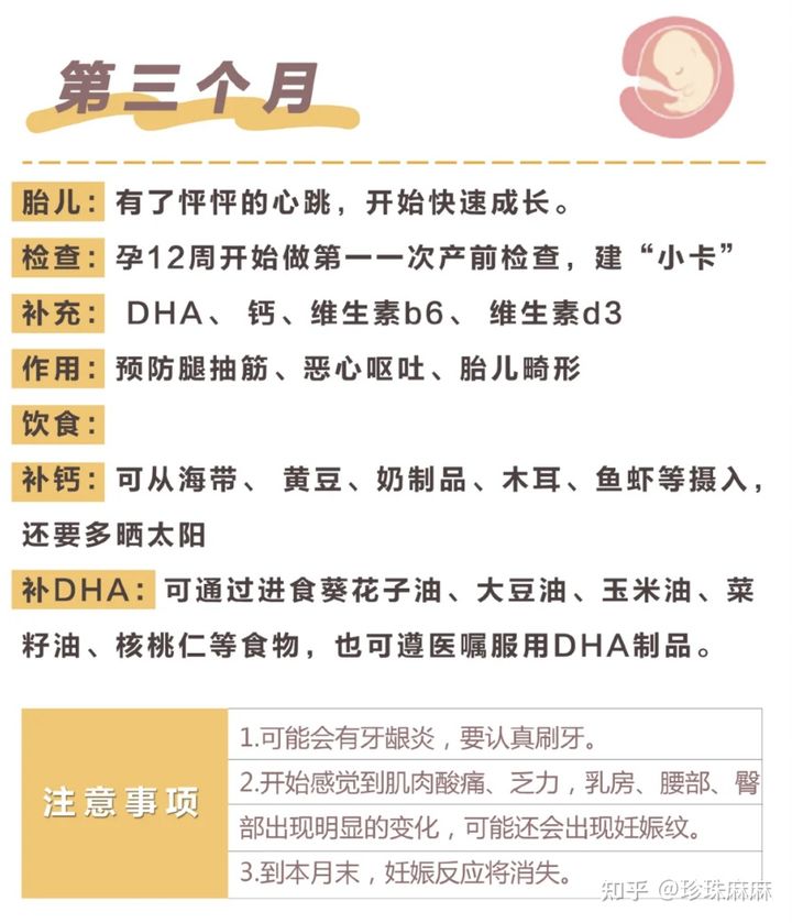 孕妇受孕过程,孕妇从怀孕到生的注意事项及时间