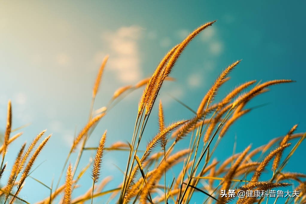 家有帕金森病人，有没好办法？看《扁鹊心书》怎么说