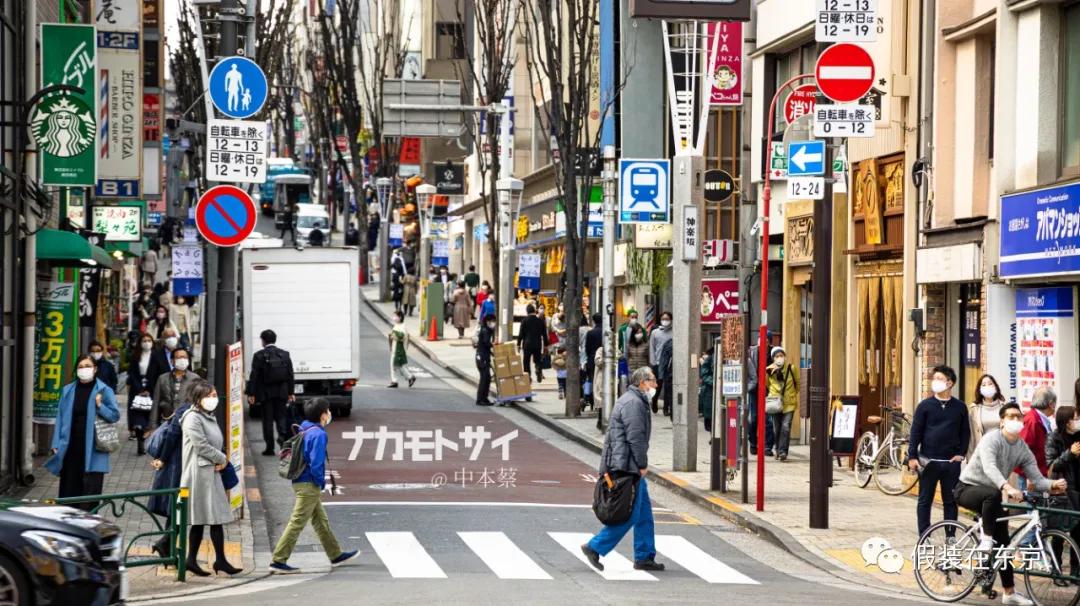 365张照片回顾,365张相片