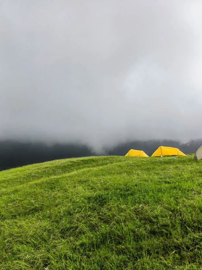 灏忓ぉ灞遍夯鐢板箔鏅尯鍦ㄥ摢,楹荤敯宀皬澶╁北鐢ㄩ绾﹀悧