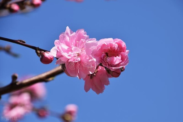 怎么去探望病危重的亲人,家里老人病危该做什么