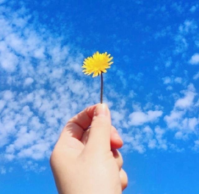 2023微信签名简短干净,2022的霸气气质正能量个性签名