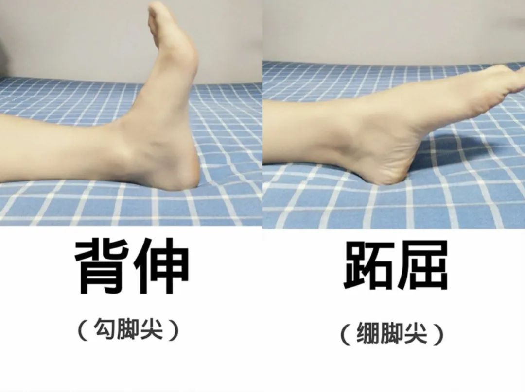 脚背及脚踝疼痛见于哪些疾病,脚踝外侧面疼痛警惕大病