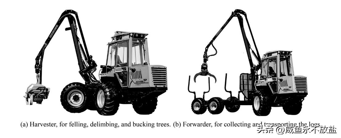从林业运营中起重机的技术探索，分析如何提升其砍伐、剥皮等性能