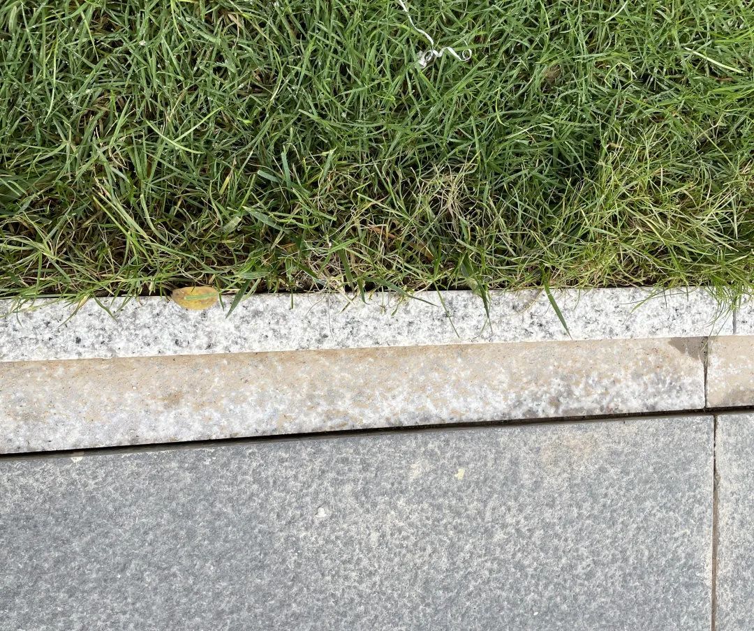 金地交房视频真实记录,金地楼盘验房