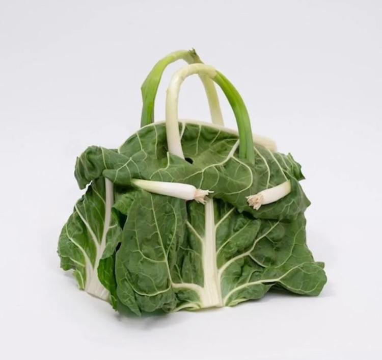 奢侈大牌推出大葱包、黄瓜包？！网友吐槽：蘸酱吃咱能炫几个…