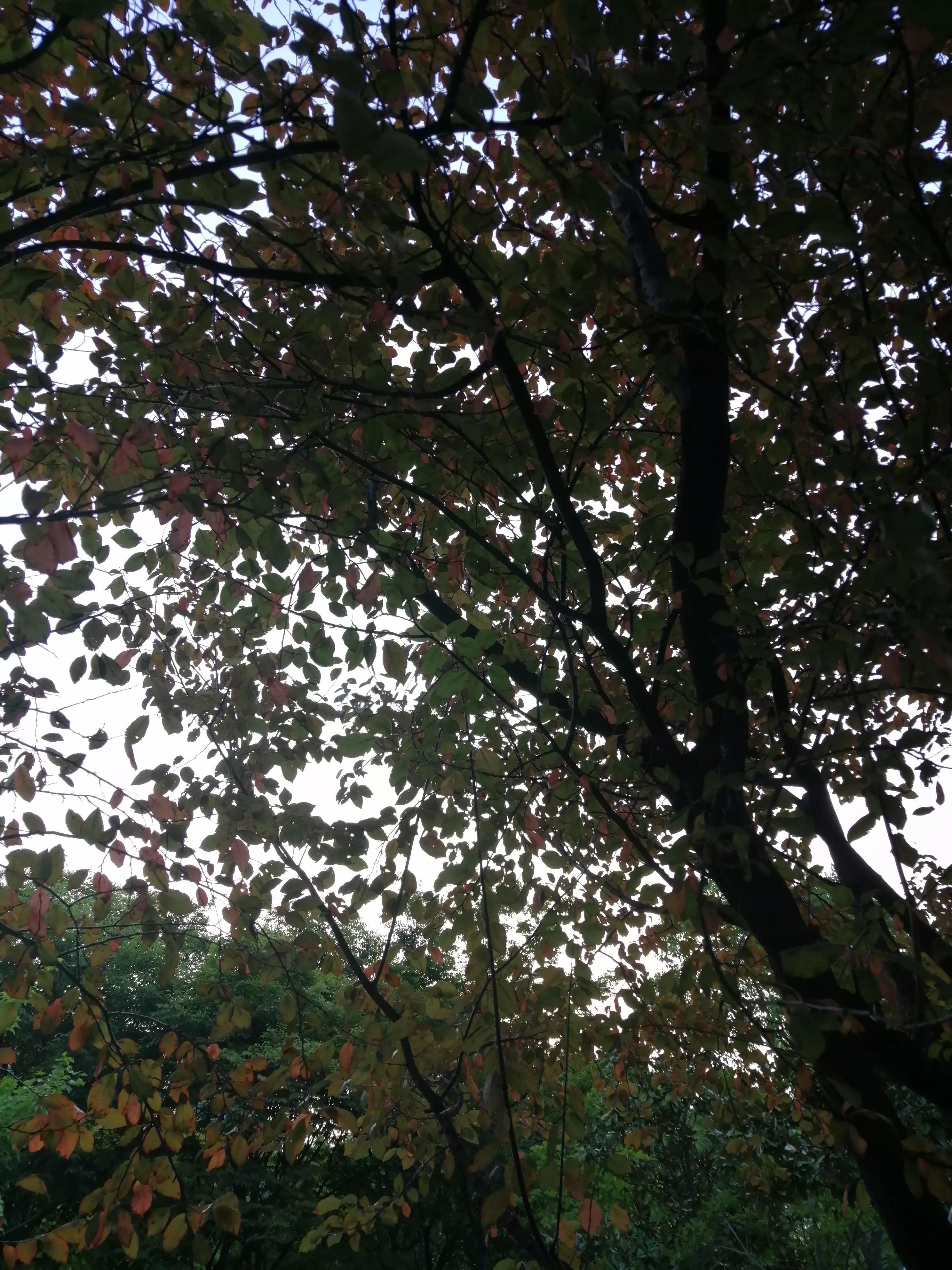 黑色星期五电影讲解,黑色星期五什么意思