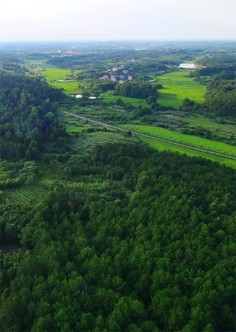 适合春天去的美宿,湖景美宿推荐