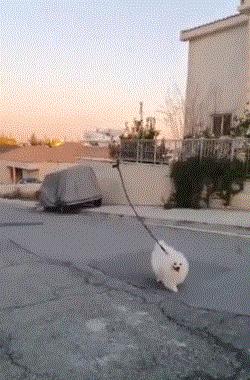 北京买无人机有用吗,买无人机北京