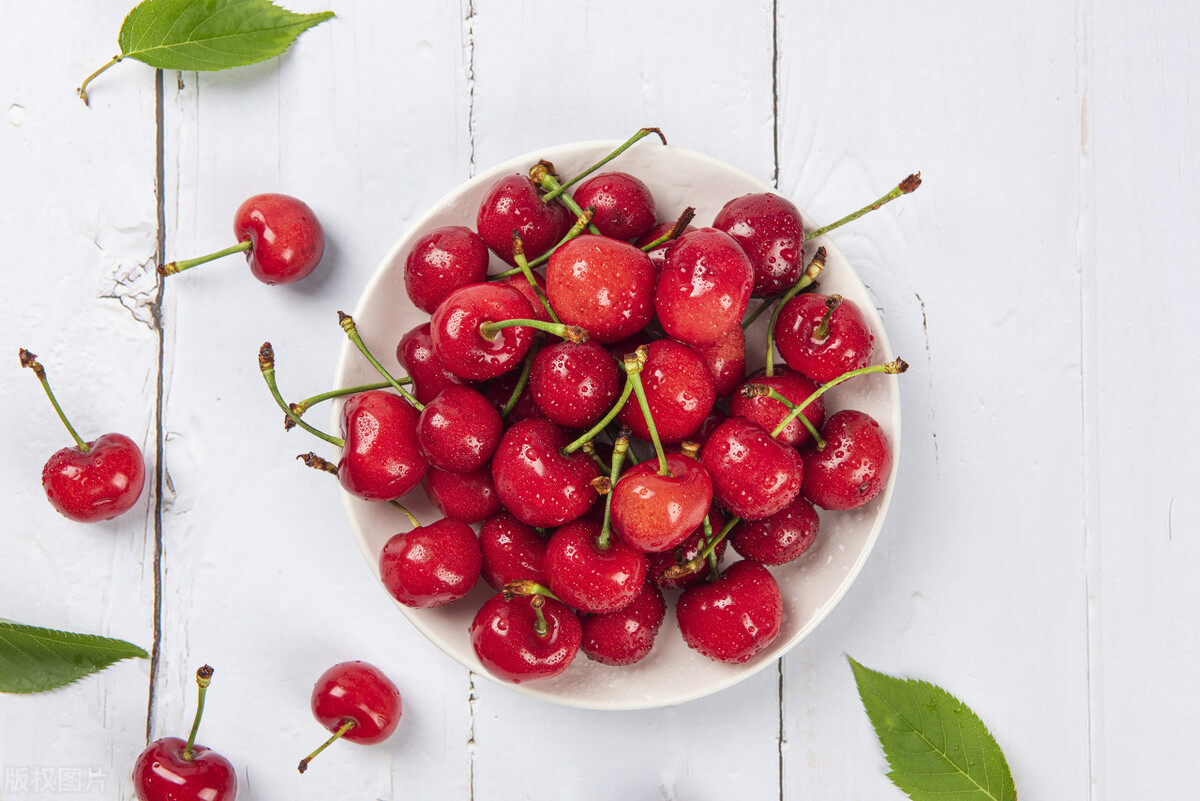 养陨石边牧注意事项,养边牧狗狗的十大禁忌