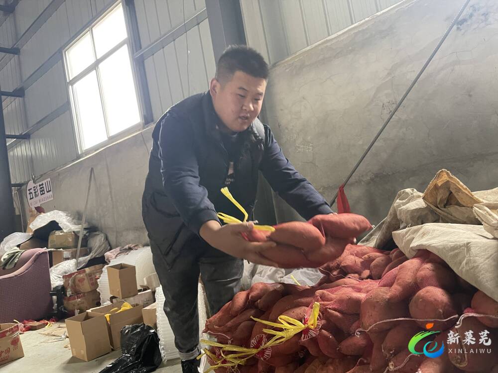 共青团莱芜,共青团引领青年凝聚青年服务青年