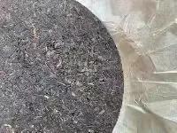 下关铁饼生茶14年,下关铁饼生茶2000年