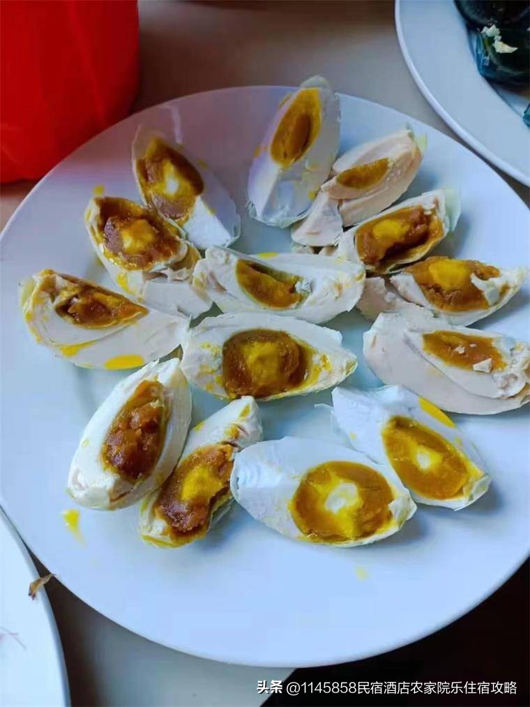 白洋淀农家打鱼,白洋淀农家院野钓推荐