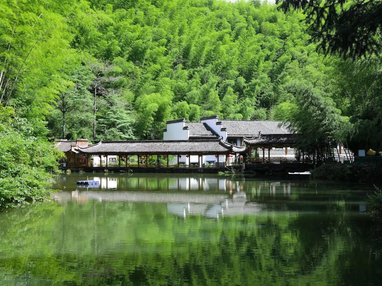 中国十大竹海排名,中国十大竹海之都