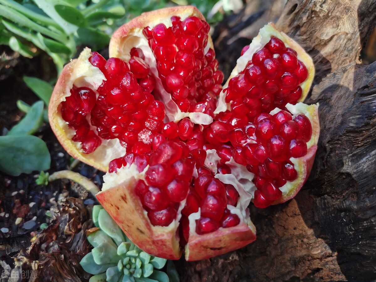 一亩田蔬菜交易平台,一亩田平台批发水果