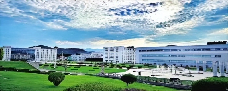 河南省仲景宛西制药厂,仲景宛西制药2023年产值