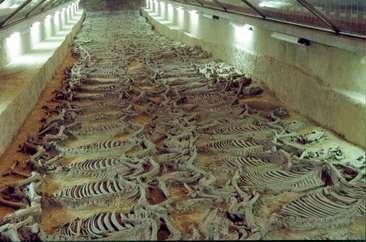 神游淄博临淄齐都篇之二