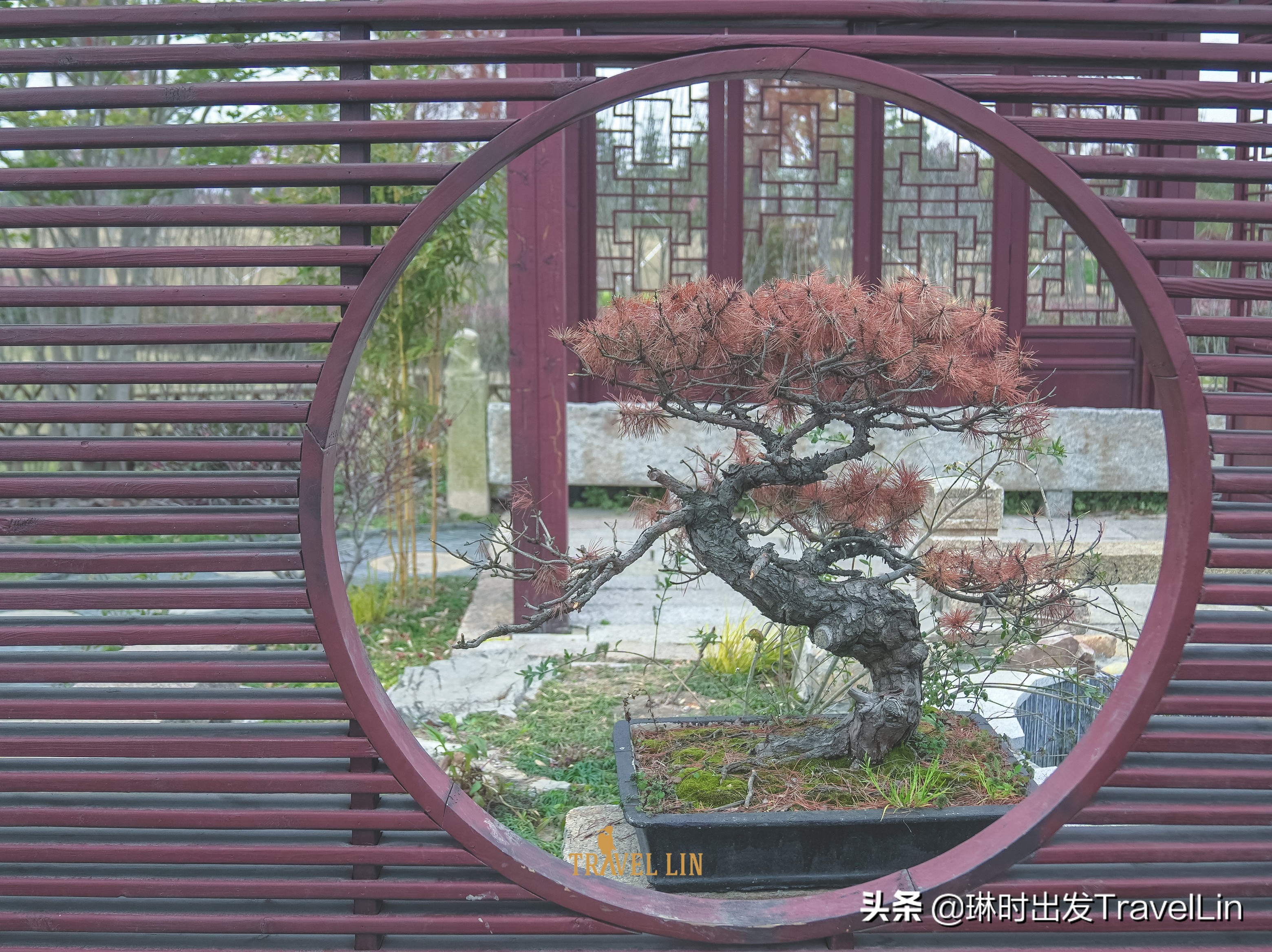 上海奉贤公园推荐,奉贤泡泡公园效果图