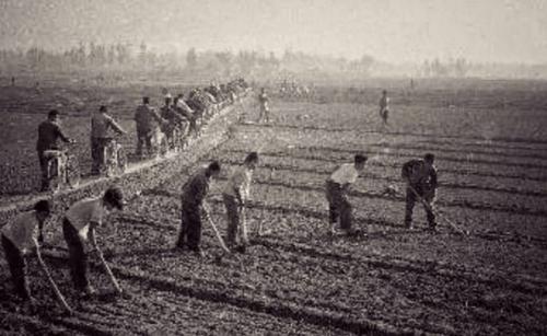 放牛娃的百亿人生：将10元店开遍全球，一年狂赚200亿