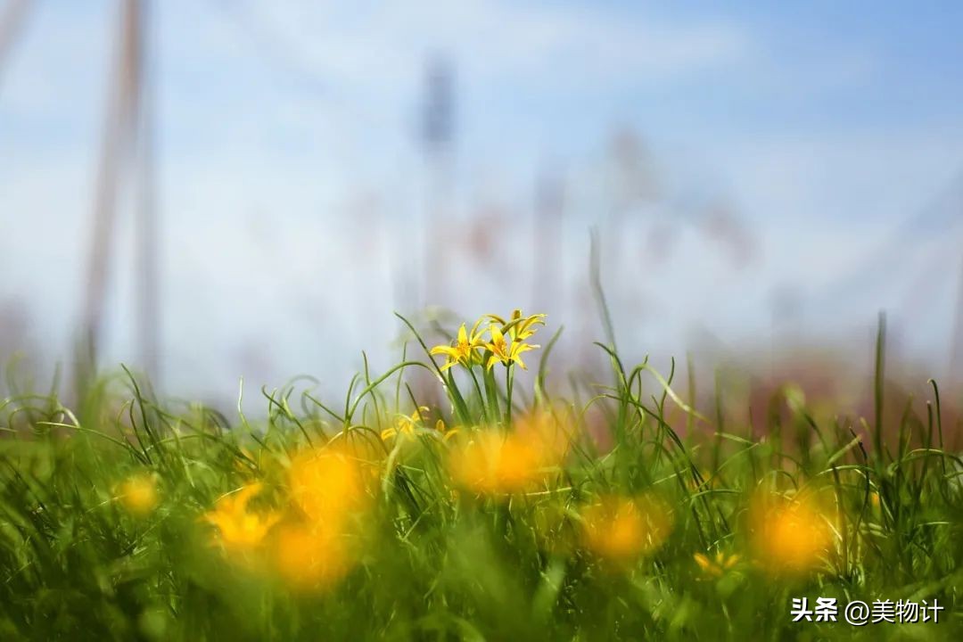 真诚厚道的人值得深交,深交看人品相处靠真诚