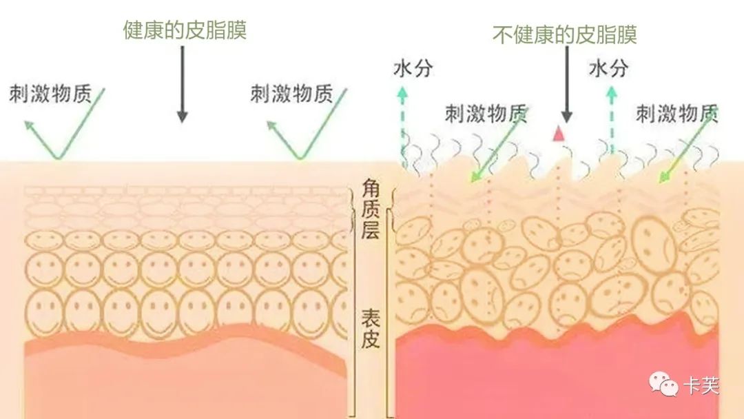 地龙多肽多效美肤霜，赋予你应有的健康、美丽与自信