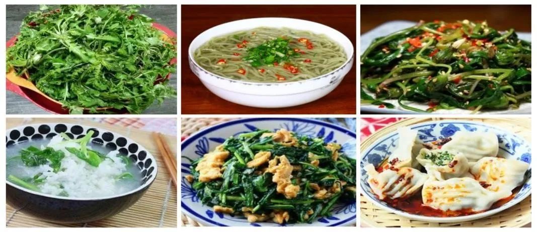 赤峰学院第五届创业大赛,活力赤峰创业创意大赛