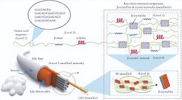 探究银离子浸渍海藻酸盐和水凝胶的制备及其抗菌性能