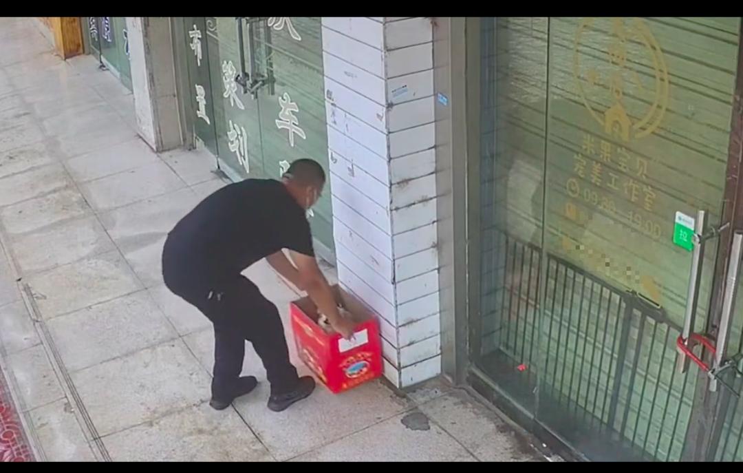 狗狗难产后躲在角落,狗狗难产主人用手助产