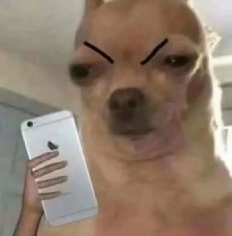 黑芝麻丸还要骗我们多久,黑芝麻丸子的功效与作用